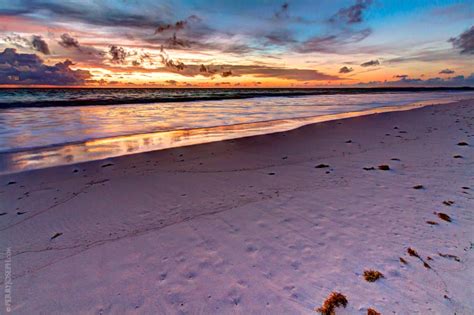Pink Sand Beach Sunrise