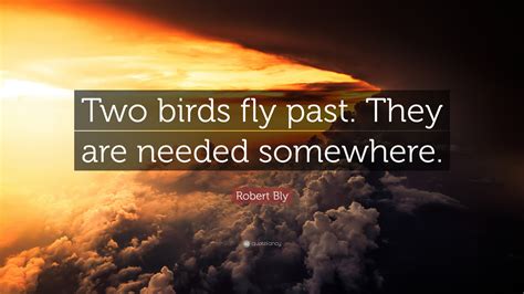 Robert Bly Quote Two Birds Fly Past They Are Needed Somewhere