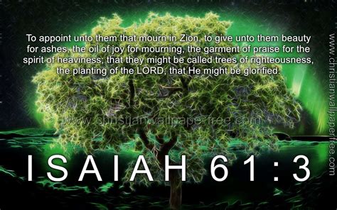 Isaiah 61 Verse 3