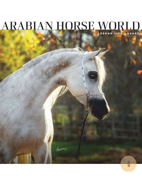 Arabian Horse World Magazine Digital