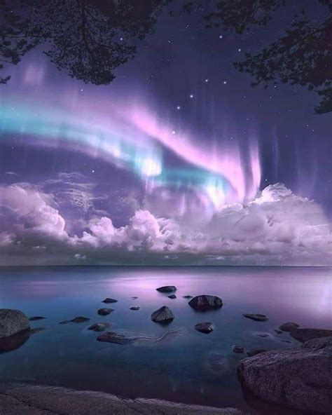 Purple Aurora Borealis Northern Lights Night Skies Aurora Borealis