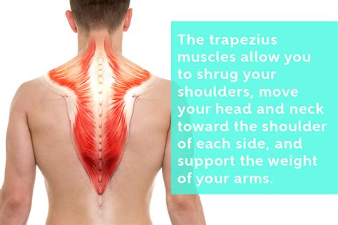 Muscle Knots In Back Of Neck Wont Go Away Try This The Feel Good Lab
