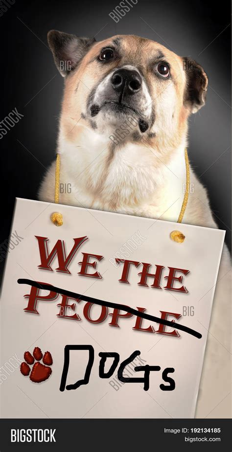 We People Dogs Dog Image And Photo Free Trial Bigstock