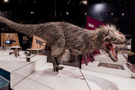 An Interactive Dinosaur Display Worth Visiting Virtually Or In Person