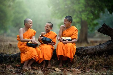 Overview Of The Life And Role Of A Buddhist Bhikkhu