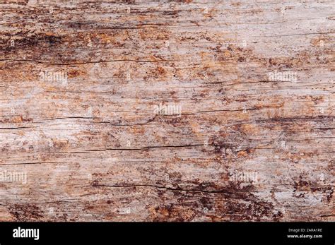 Old Grungy Wood Background Natural Wood Grain Pattern Texture Wood