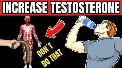 How To Increase The Bodys Testosterone 6 Tips To Raise Your Testosterone Naturally Youtube