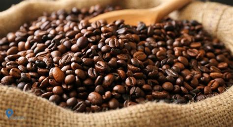 alasan fore coffee memilih biji kopi arabica