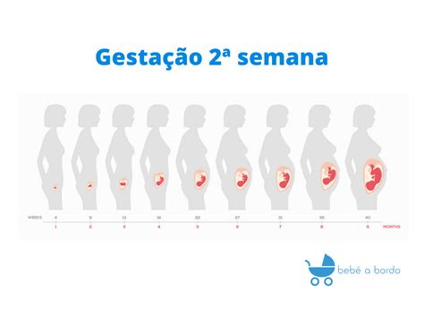Quantos Dias Tem 2 Semanas