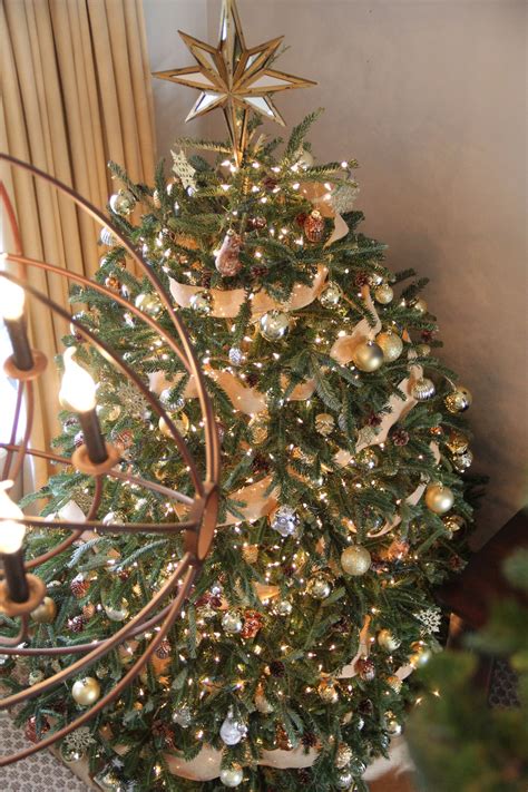 My christmas tree lets you decorate a christmas tree, but you'll have to find all ornaments in this hidden object game. Trimming My Christmas Tree — Redefining Domestics