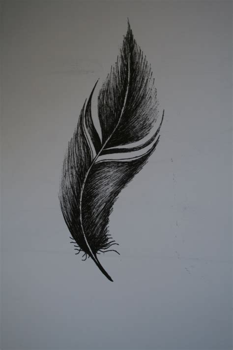 Realistic Feather Drawing At Getdrawings Free Download