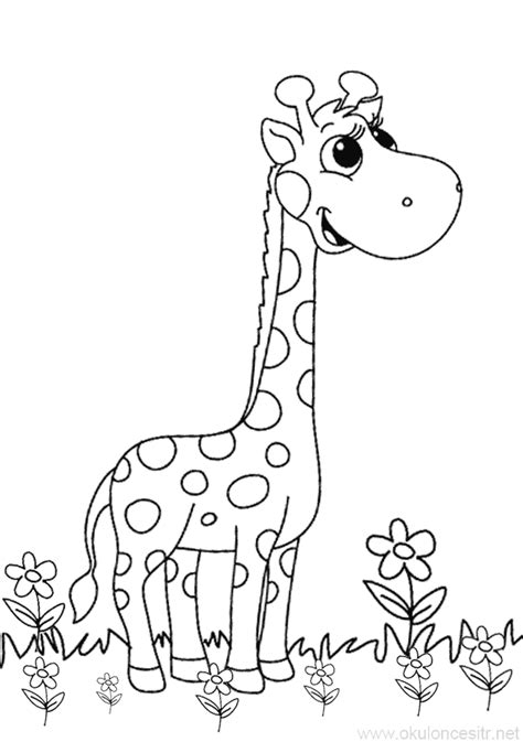Zürafa Boyama Sayfası Okulöncesitr