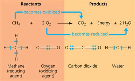They are all necessary but they don't. Chemistry: What are examples of oxidation reactions and ...