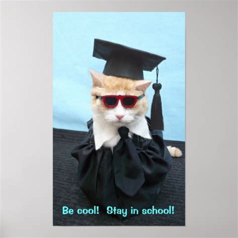 Be Cool Stay In School Posters Zazzle