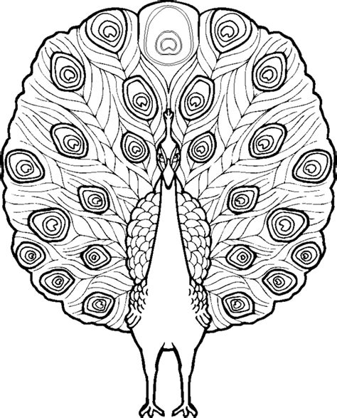 Parrots, also known as psittacines, are birds of the roughly 393 species in 92 genera that make up the order psittaciformes, found in most tropical and subtropical regions. Peacock coloring pages to download and print for free