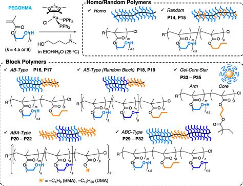 Amphiphilic Poly Polyethylene Glycol Methacrylate S With Oh Groups In