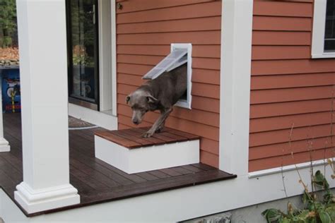 Reviews of insulated & airtight pet doors. How To Install A Pet Door - A Concord Carpenter