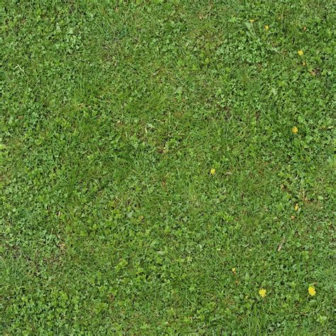 Tileablegrasslarge Obraz Jpeg 2048 × 2048 Pikseli Skala 29