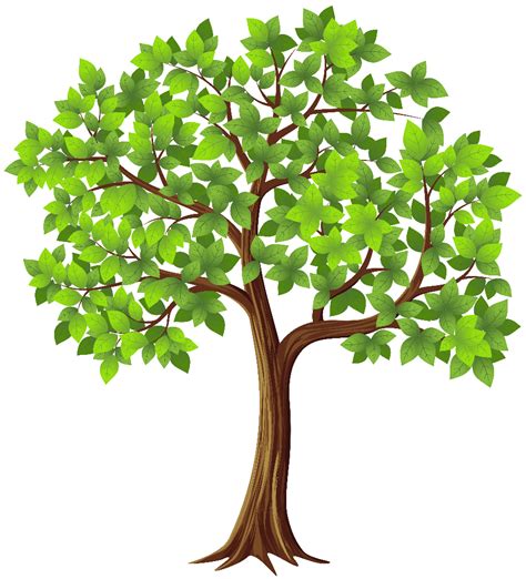 Download High Quality Tree Clipart Image Transparent Png Images Art