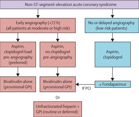 Non St Elevation Acute Coronary Syndromes The Lancet