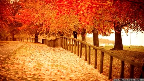 Fall Foliage Desktop Wallpaper 1280×1024 Fall Themed
