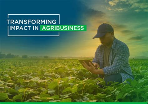 Top 5 Trends In Agriculture Will Be The Future Of Farming