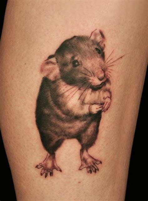My art background comes in the form of an associates degree from nossi college of art in nashville, tn. Rat Tattoos Designs, Ideas and Meaning | Tattoos For You