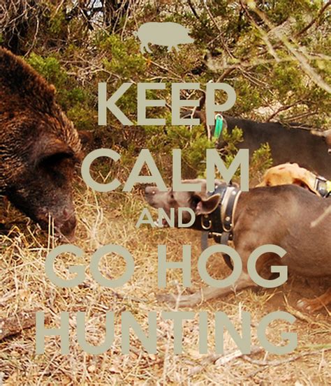 Deer Dog Hunting Quotes Quotesgram