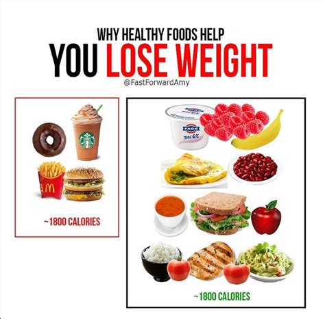 Guide To Lose Weight How To Lose Weight Fast Calorie Deficit