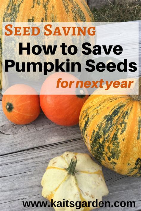 Pin On How To Save Seeds