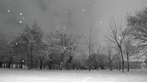 Snowfall At Night Photograph By Mark Watson Kalimistuk