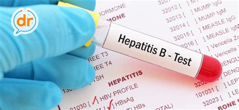 Hepatitis b is caused by the hepatitis b virus. nuga.co Mengenal Lebih Dekat Penyakit Sirosis Hati