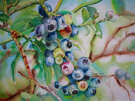 Blueberries Watercolor Flower Art Flower Painting Art