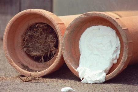 How is chemical root control with rootx different from mechanical cutting? Tree root intrusion into sewer drains and how to stop it.