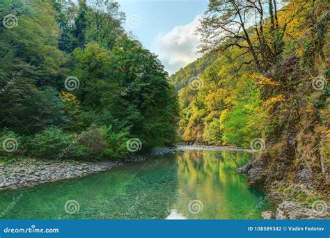 Valley Of Sochi River Russia Stock Photo Image Of Canyon Autumn