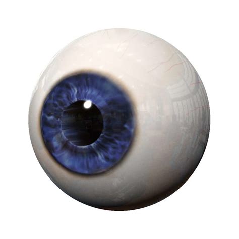 Realistic Eye 3d Turbosquid 1219138