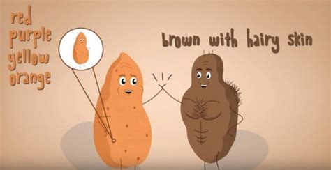 Animated Short Explains The Difference Between A Sweet
