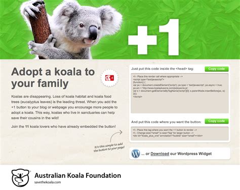 Australian Koala Foundation K1 Ad Age