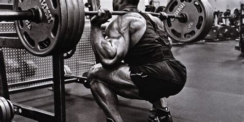 Leg and Glute Muscles • Bodybuilding Wizard