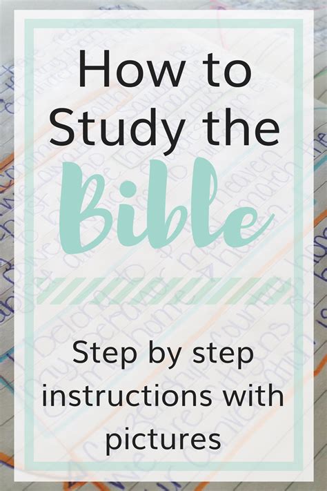 How To Study The Bible The Littlest Way