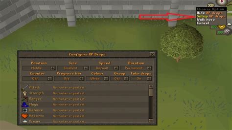 Setting The Right Standard For Osrs Games And Skills Tishare