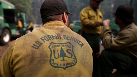 Forest Service Offering More Than 1500 Temporary Jobs Throughout