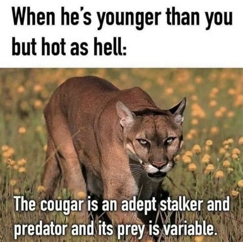 Is The Cougar A Thing Still You Think 9gag