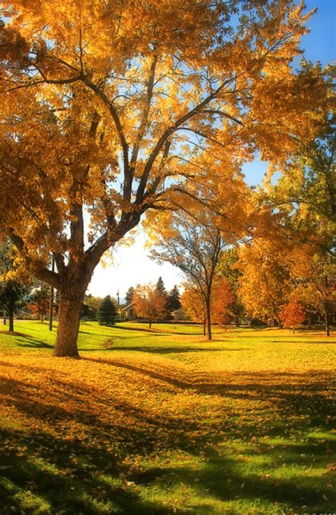 Pin By Dan Chihaia On Belas Imagens Autumn Scenery Autumn Landscape