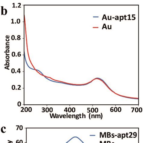 A The TEM Image Of AuNPs B The UV Vis Absorption Spectrum Of AuNPs Download Scientific