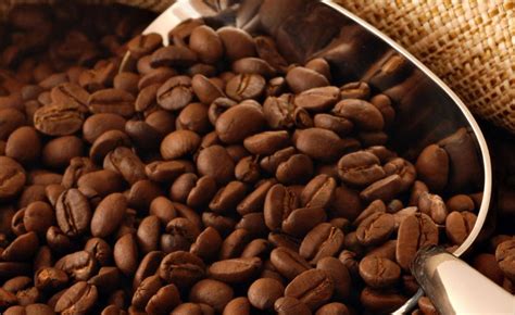 Ethiopia To Dominate Global Coffee Market Soon Says Expert