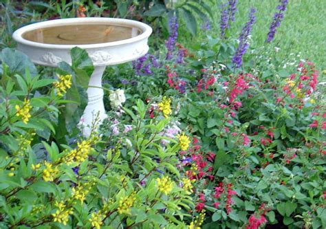 Many gardeners supplement the nectar that their plants produce with nectar feeders. The Truth About Butterfly Gardening: Part One