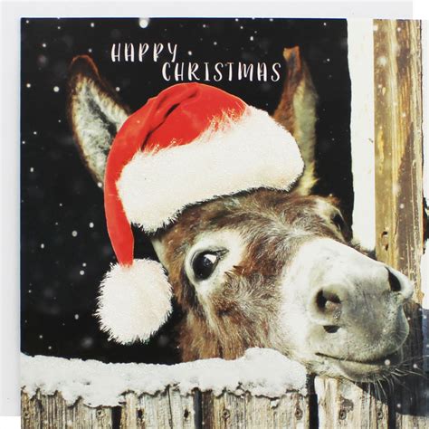 Fanpop Advent 2019scenario Game Day 8 Donkeys Pick A Christmas