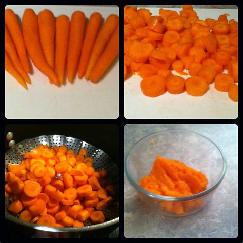 For introducing solid foods to your baby! Reorganized Simplicity: Homemade Baby Food Stage 1: Carrot ...