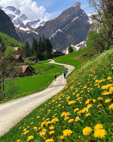 Beautiful Strolls Through The Swiss Countryside 😍 Whod You Hike Here